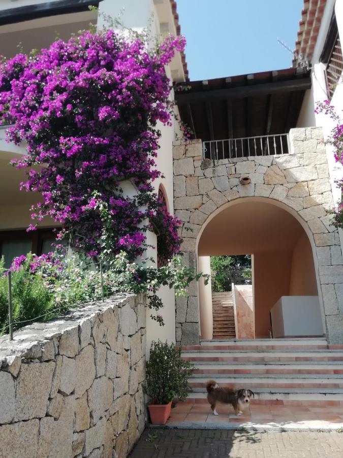 Frina Di Mari B&B San Teodoro  Exterior foto